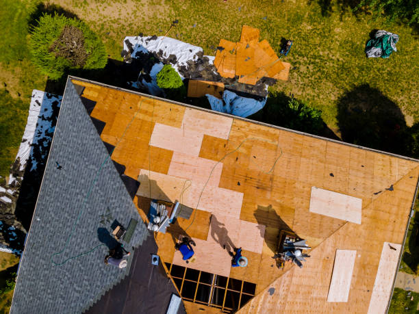Best Gutter Installation and Roofing  in Ramblewood, NJ